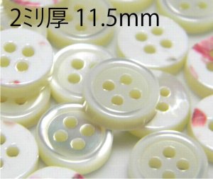 画像1: #17タカセ本貝ボタン 2ミリ厚11.5ｍｍ お得な選べるセット売り (1)